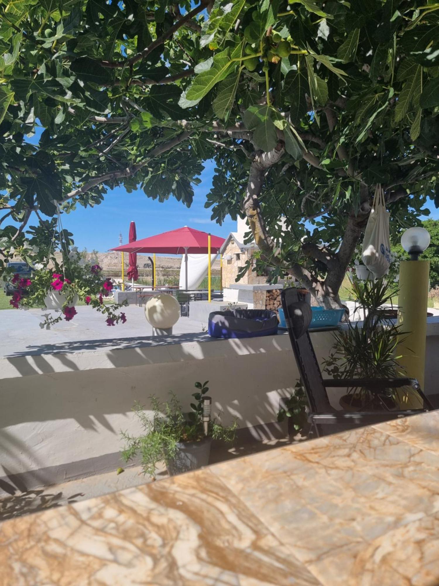 Dinjiška Apartmani Alen מראה חיצוני תמונה
