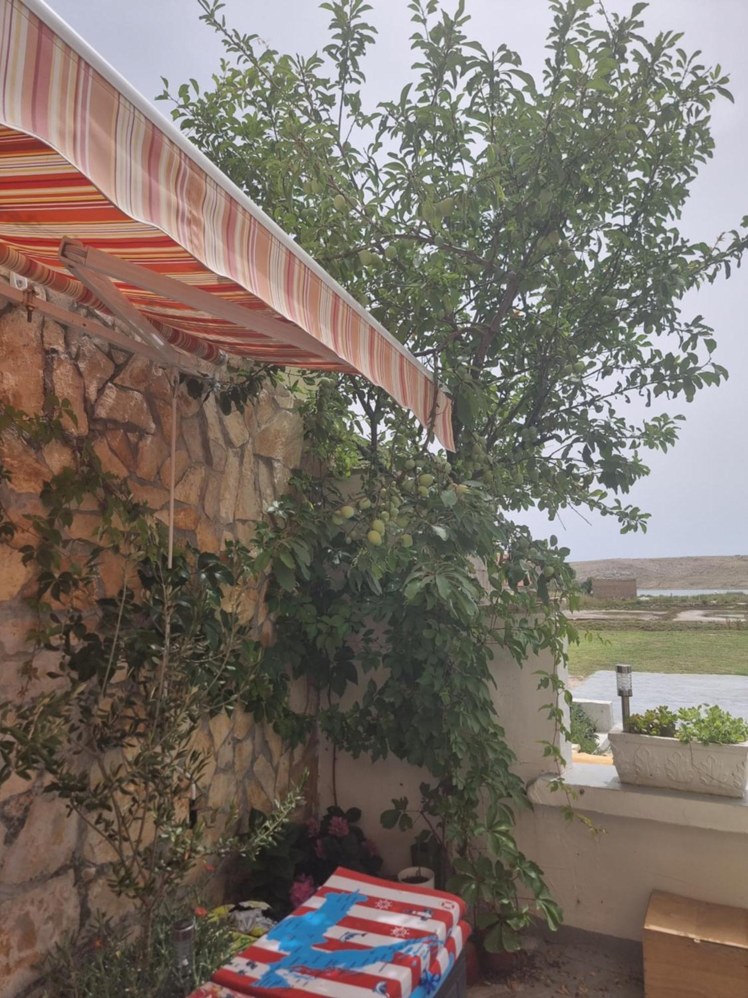 Dinjiška Apartmani Alen מראה חיצוני תמונה